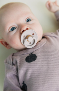 Пустышка латексная BIBS Colour - Mushroom