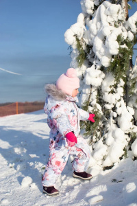 Комбинезон Фрост TF300 гр., winterday flowers