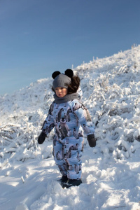 Комбинезон Фрост TF300 гр., penguins